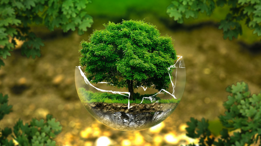 The benefits of eating organic 